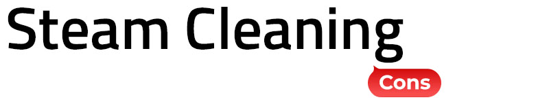 Steam Cleaning Cons