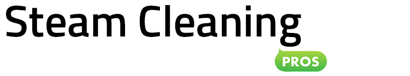 Steam Cleaning Pros